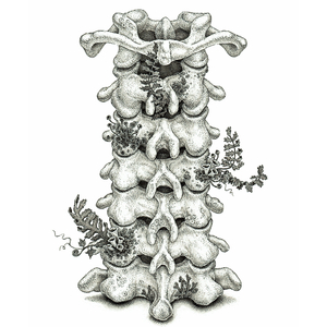 一区二区三区免费观看
