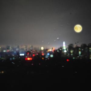 一区二区三区免费观看
